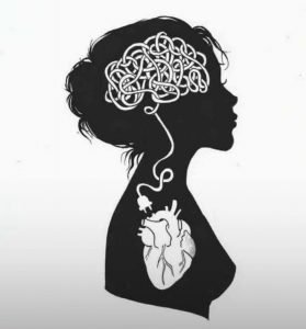 finanzas-femeninas_desconeta-el-corazón-del-cerebro